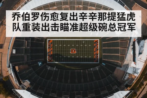 乔伯罗伤愈复出辛辛那提猛虎队重装出击瞄准超级碗总冠军