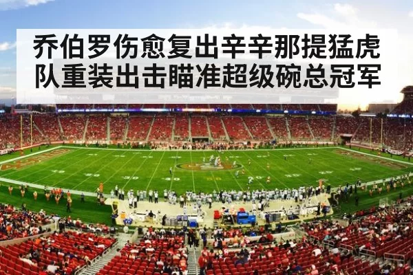 NFL stadium
